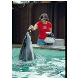 1976-Calif Sep76 Dot feeding porpoise S D Zoo.jpg